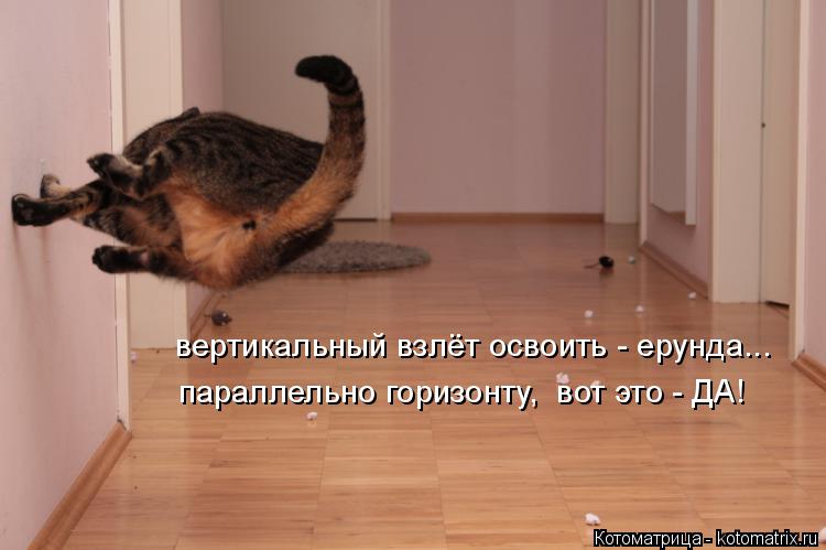 Котоматрица: вертикальный взлёт освоить - ерунда... параллельно горизонту,  вот это - ДА!