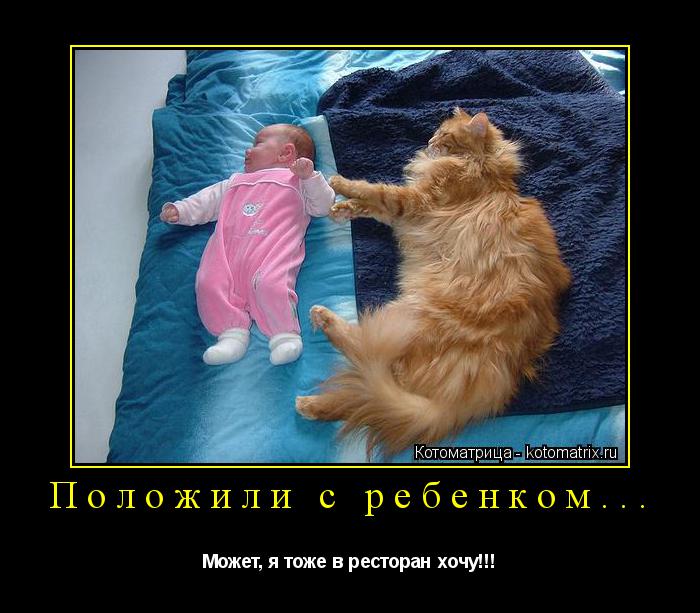 Положили с ребенком... Может, я тоже в ресторан хочу!!!... Котоматрица: Положили с ребенком... Может, я тоже в ресторан хочу!!!