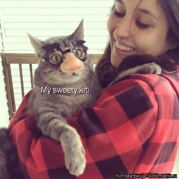 Котоматрица: My sweety kiti