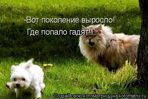Котоматрица: -Вот поколение выросло! Где попало гадят!!