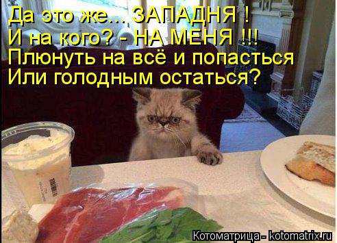 Котоматрица: Да это же... ЗАПАДНЯ ! И на кого? - НА МЕНЯ !!! Плюнуть на всё и попасться Или голодным остаться?