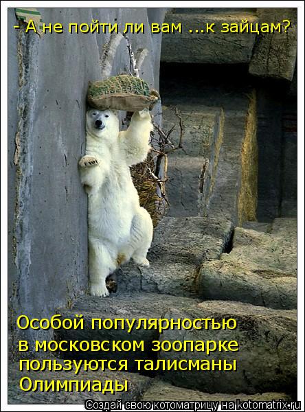 Котоматрица: Особой популярностью в московском зоопарке пользуются талисманы Олимпиады  - А не пойти ли вам ...к зайцам?