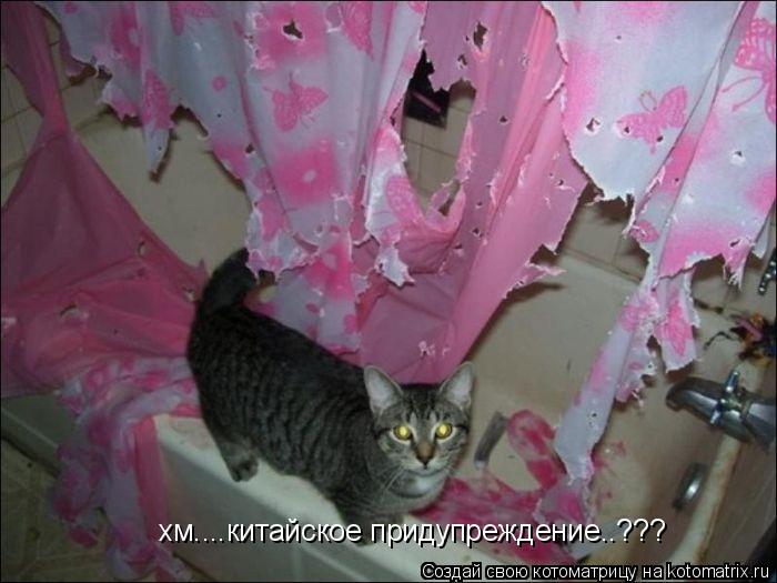 Котоматрица: хм....китайское придупреждение..???
