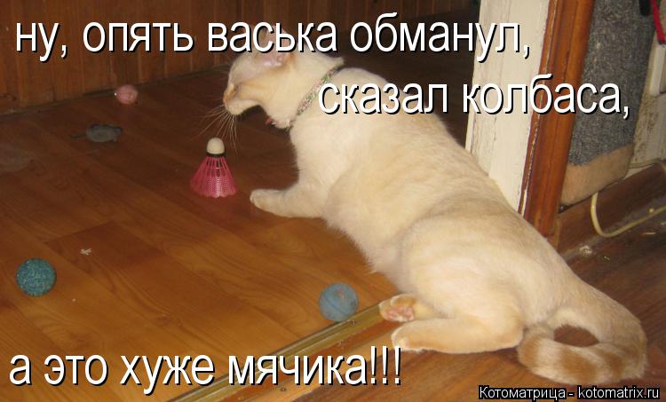 Котоматрица: ну, опять васька обманул, сказал колбаса, а это хуже мячика!!!