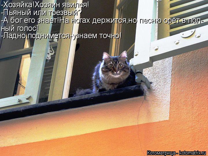 Котоматрица: -Хозяйка!Хозяин явился! -Пьяный или трезвый? -А бог его знает!На ногах держится,но песню орёт в пол- ный голос! -Ладно,поднимется-узнаем точно!