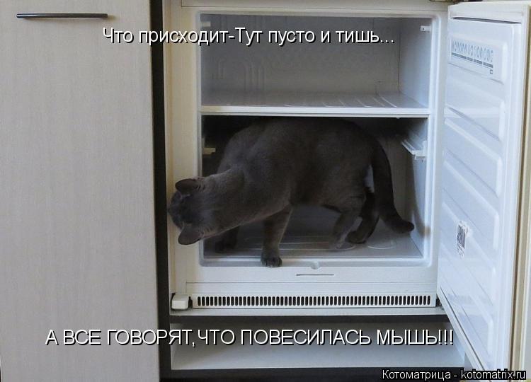 Что присходит-Тут пусто и тишь... А ВСЕ ГОВОРЯТ,ЧТО ПОВЕСИЛАСЬ МЫШЬ!!!... Котоматрица: Что присходит-Тут пусто и тишь... А ВСЕ ГОВОРЯТ,ЧТО ПОВЕСИЛАСЬ МЫШЬ!!!