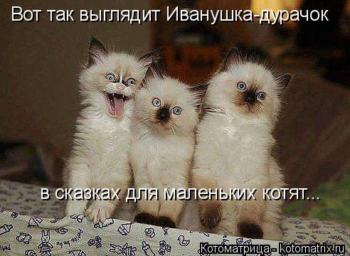 Вот так выглядит Иванушка-дурачок в сказках для маленьких котят...... Котоматрица: Вот так выглядит Иванушка-дурачок в сказках для маленьких котят...
