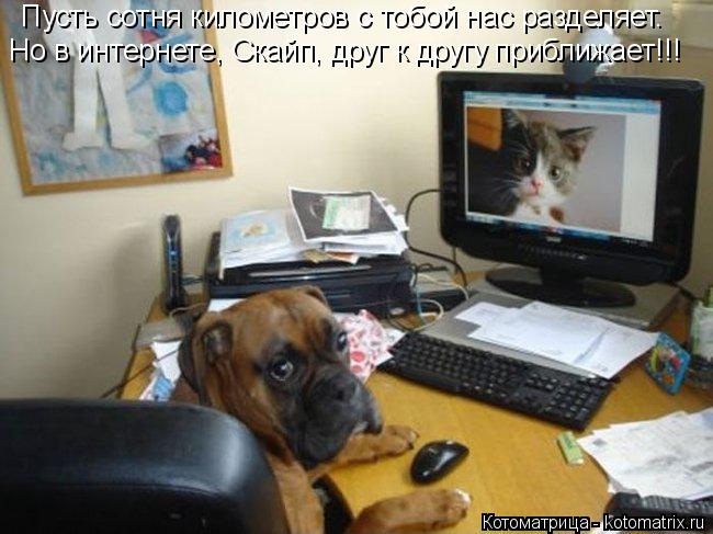 Котоматрица: Но в интернете, Скайп, друг к другу приближает!!! Пусть сотня километров с тобой нас разделяет.