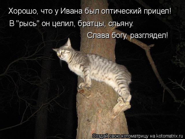 Котоматрица: Хорошо, что у Ивана был оптический прицел! В "рысь" он целил, братцы, спьяну. Слава богу, разглядел!