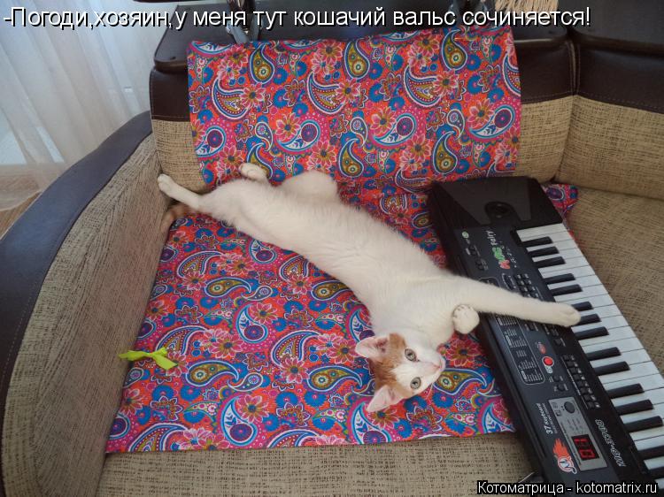Котоматрица: -Погоди,хозяин,у меня тут кошачий вальс сочиняется!