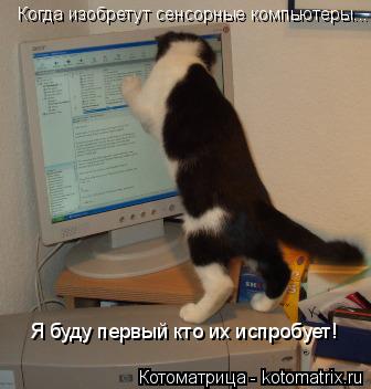 Когда изобретут сенсорные компьютеры... Я буду первый кто их испробует!... Котоматрица: Когда изобретут сенсорные компьютеры... Я буду первый кто их испробует!