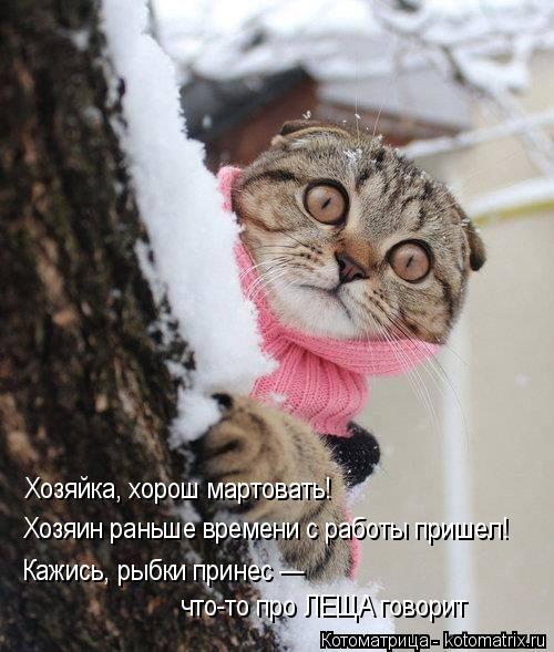 Котоматрица: Хозяйка, хорош мартовать!  Хозяин раньше времени с работы пришел!  Кажись, рыбки принес —  что-то про ЛЕЩА говорит