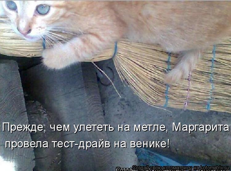 Котоматрица: Прежде, чем улететь на метле, Маргарита провела тест-драйв на венике!