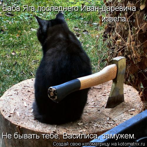 Баба Яга последнего Иван-царевича извела... Не бывать тебе, Василиса, замужем.... Котоматрица: Баба Яга последнего Иван-царевича извела... Не бывать тебе, Василиса, замужем.