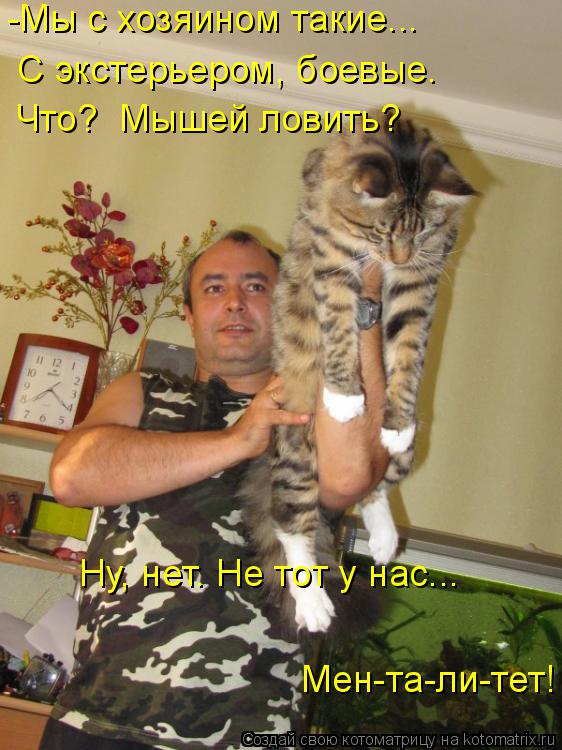 Котоматрица: -Мы с хозяином такие... С экстерьером, боевые. Что?  Мышей ловить? Ну, нет. Не тот у нас... Мен-та-ли-тет!