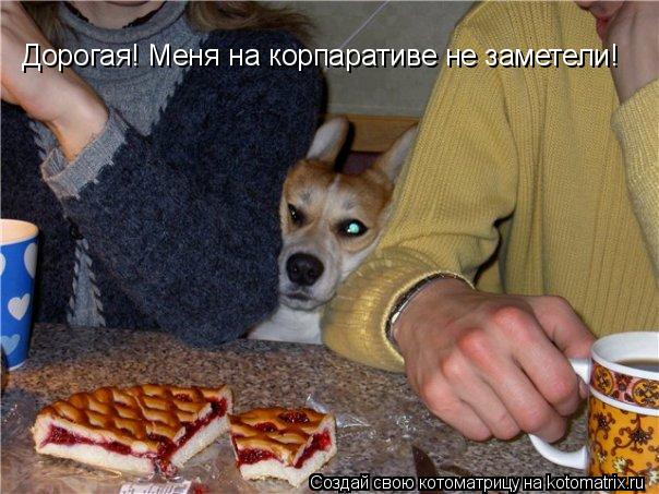 Котоматрица: Дорогая! Меня на корпаративе не заметели!