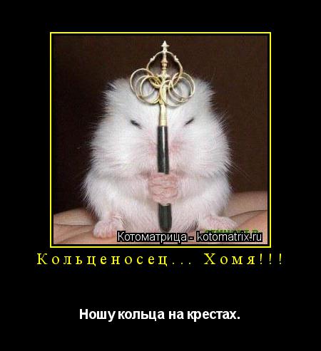 Кольценосец... Хомя!!! Ношу кольца на крестах.... Котоматрица: Кольценосец... Хомя!!! Ношу кольца на крестах.