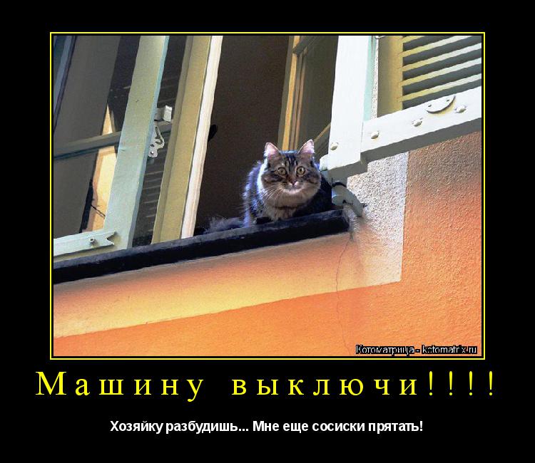 Котоматрица: Машину выключи!!!! Хозяйку разбудишь... Мне еще сосиски прятать!