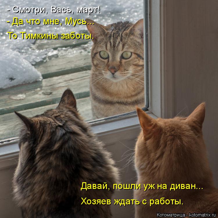 Котоматрица: - Смотри, Вась, март! - Да что мне, Мусь... То Тимкины заботы. Давай, пошли уж на диван... Хозяев ждать с работы.