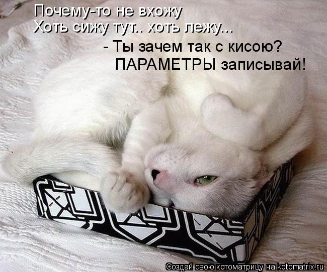 Котоматрица: Почему-то не вхожу Хоть сижу тут.. хоть лежу... - Ты зачем так с кисою? ПАРАМЕТРЫ записывай!
