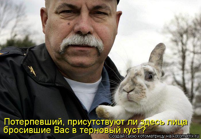 Котоматрица: Потерпевший, присутствуют ли здесь лица бросившие Вас в терновый куст?