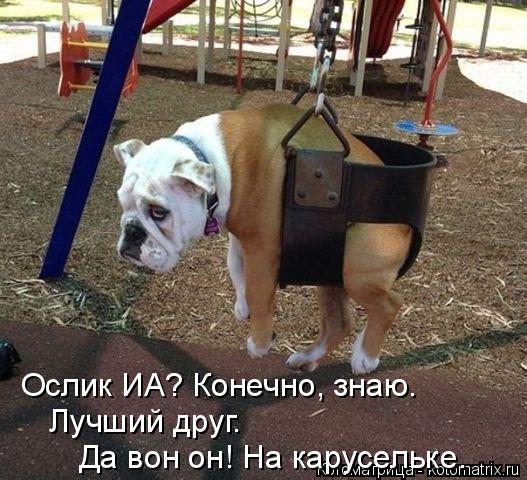 Котоматрица: Ослик ИА? Конечно, знаю. Лучший друг. Да вон он! На карусельке.