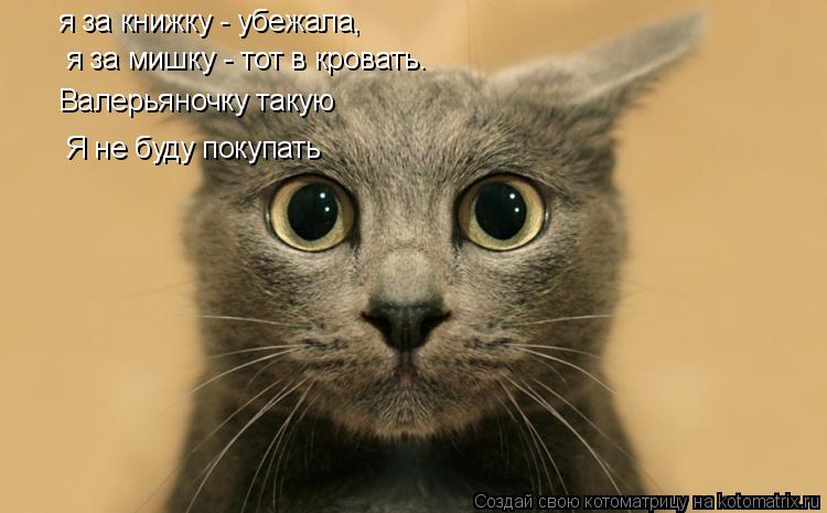 Котоматрица: я за книжку - убежала, я за мишку - тот в кровать. Валерьяночку такую Я не буду покупать
