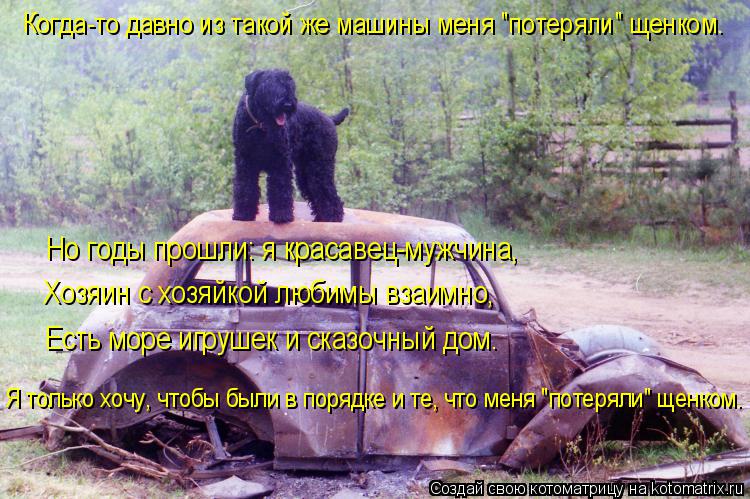 Котоматрица: Когда-то давно из такой же машины меня "потеряли" щенком. Но годы прошли: я красавец-мужчина, Хозяин с хозяйкой любимы взаимно, Есть море игру