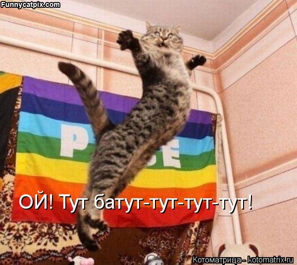 Котоматрица: ОЙ! Тут батут-тут-тут-тут!