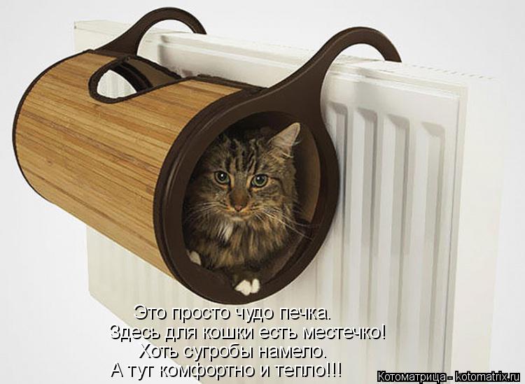 Котоматрица: Здесь для кошки есть местечко! А тут комфортно и тепло!!! Хоть сугробы намело. Это просто чудо печка.