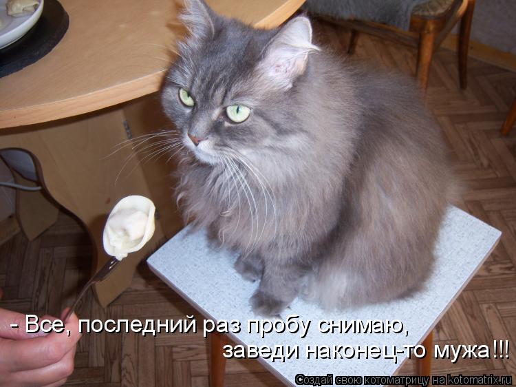 Котоматрица: - Все, последний раз пробу снимаю, заведи наконец-то мужа!!!
