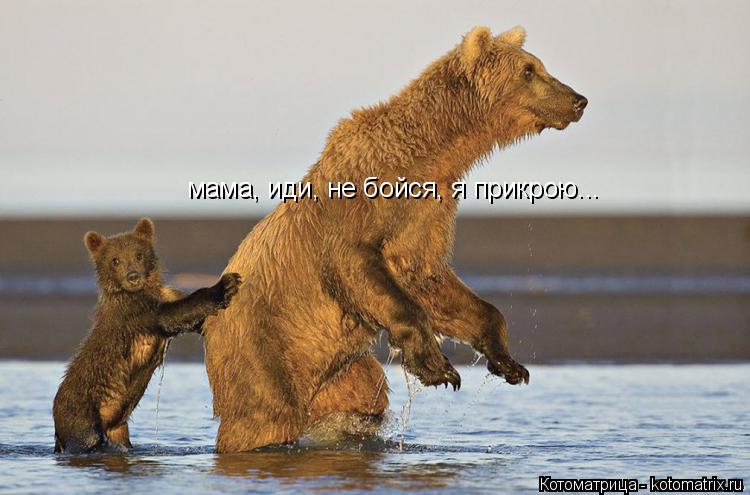 Котоматрица: мама, иди, не бойся, я прикрою...