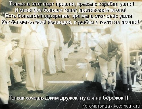 Котоматрица: Только в этот порт пришли, крысы с корабля ушли! Как бы мы со всей командой, к рыбам в гости не пошли! И меня все больше тянет, притяжение земл