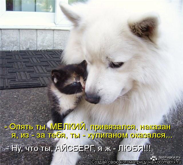 Котоматрица: - Опять ты, МЕЛКИЙ, привязался, наказан  я, из - за тебя, ты - хулиганом оказался... - Ну, что ты, АЙСБЕРГ, я ж - ЛЮБЯ!!!