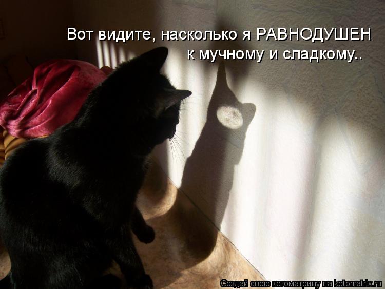 Котоматрица: Вот видите, насколько я РАВНОДУШЕН к мучному и сладкому..