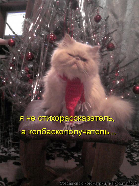 Котоматрица: я не стихорассказатель, а колбаскополучатель...