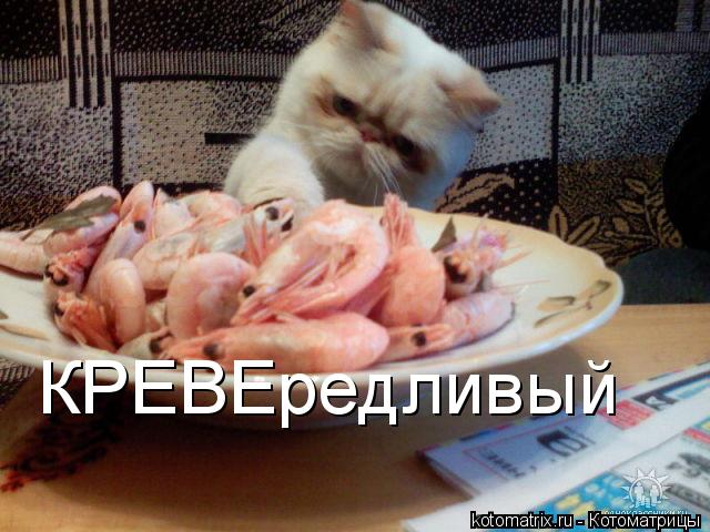 Котоматрица: КРЕВЕредливый