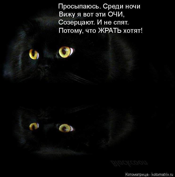 Просыпаюсь. Среди ночи Вижу я вот эти ОЧИ, Созерцают. И не спят. Потому, что ЖРАТЬ хотят!... Котоматрица: Просыпаюсь. Среди ночи Вижу я вот эти ОЧИ, Созерцают. И не спят. Потому, что ЖРАТЬ хотят!