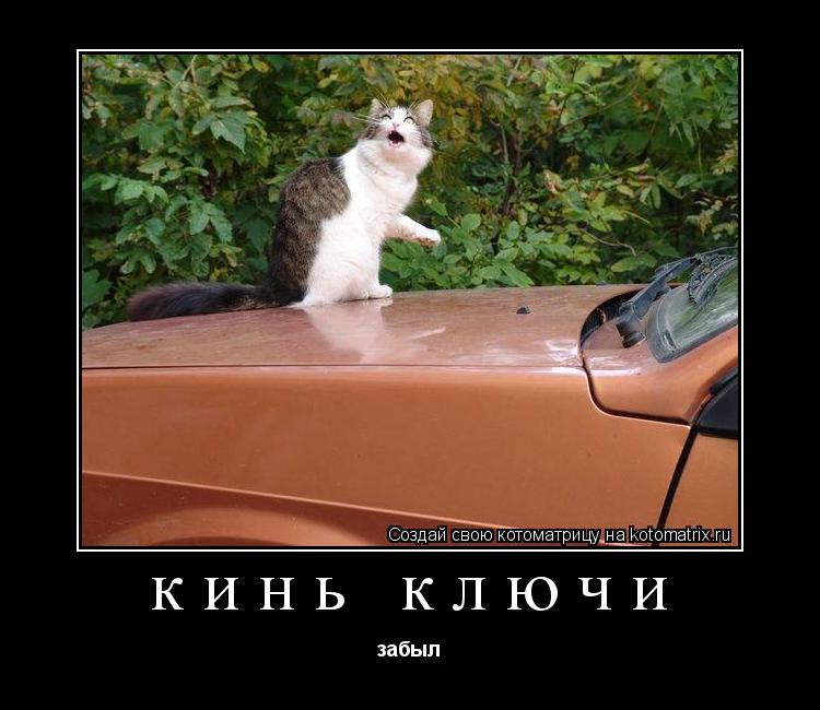 Котоматрица: кинь ключи забыл