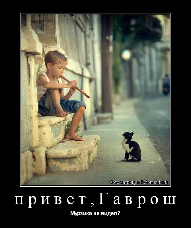 Котоматрица: привет,Гаврош Мурзика не видел?