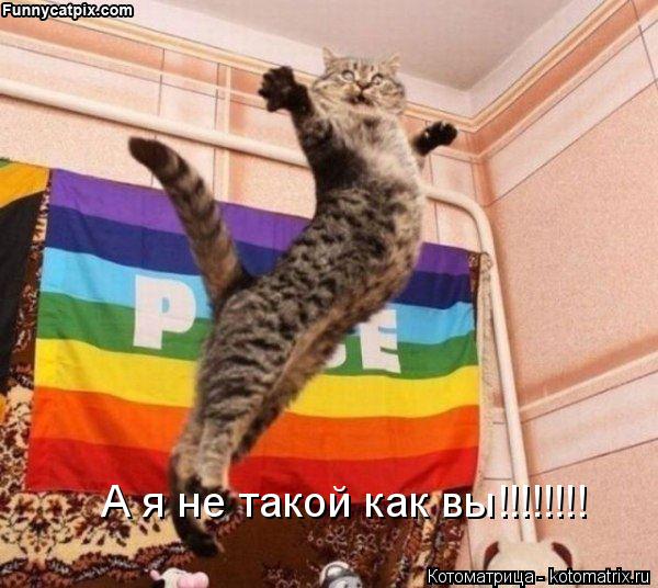 Котоматрица: А я не такой как вы!!!!!!!!