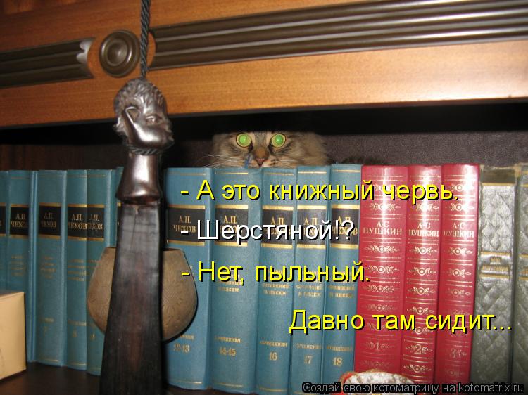 Котоматрица: - А это книжный червь. - Шерстяной!? - Нет, пыльный. Давно там сидит...
