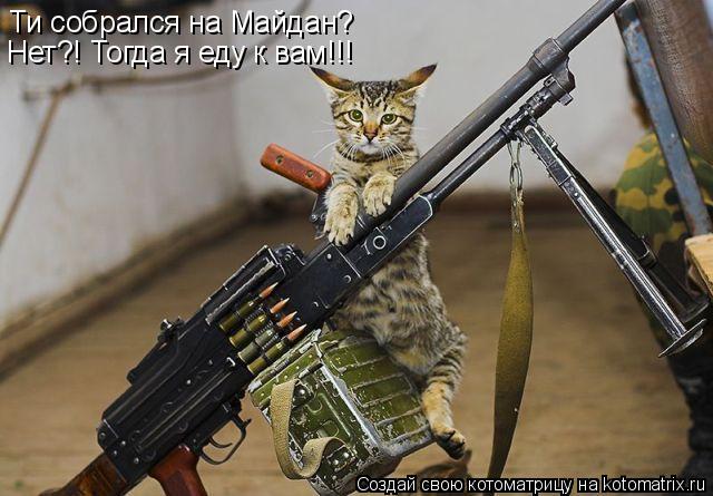 Котоматрица: Ти собрался на Майдан? Нет?! Тогда я еду к вам!!!