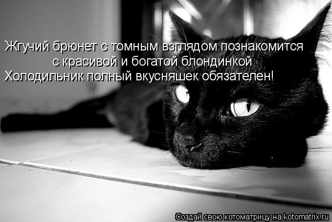 Котоматрица: Жгучий брюнет с томным взглядом познакомится с красивой и богатой блондинкой Холодильник полный вкусняшек обязателен!