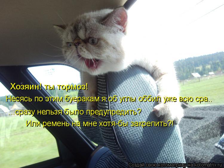 Котоматрица: Хозяин! ты тормоз! Несясь по этим буеракам я об углы оббил уже всю сра.. ...сразу нельзя было предупредить? Или ремень на мне хотя-бы закрепить?