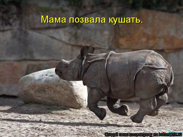 Мама позвала кушать.... Котоматрица: Мама позвала кушать.