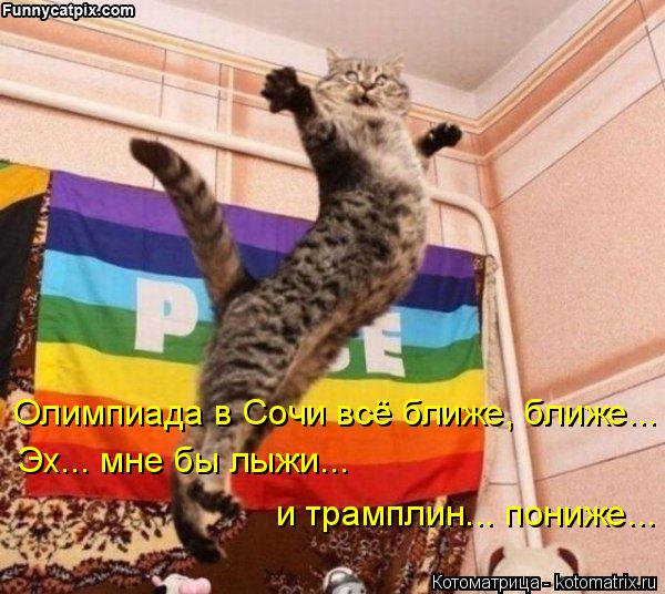 Котоматрица: Олимпиада в Сочи всё ближе, ближе... Эх... мне бы лыжи... и трамплин... пониже...
