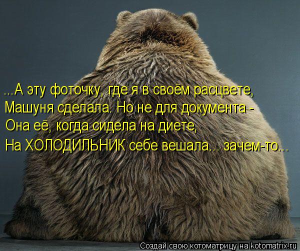 Котоматрица: ...А эту фоточку, где я в своём расцвете, Машуня сделала. Но не для документа - Она её, когда сидела на диете, На ХОЛОДИЛЬНИК себе вешала... зачем