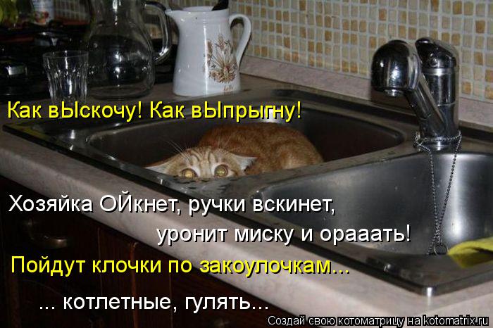 Котоматрица: Как вЫскочу! Как вЫпрыгну! Хозяйка ОЙкнет, ручки вскинет,  уронит миску и орааать! Пойдут клочки по закоулочкам... ... котлетные, гулять...