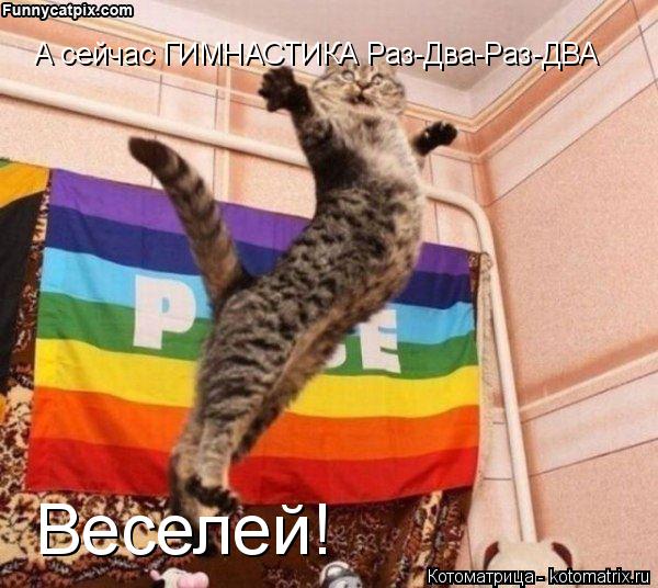 А сейчас ГИМНАСТИКА Раз-Два-Раз-ДВА Веселей!... Котоматрица: А сейчас ГИМНАСТИКА Раз-Два-Раз-ДВА Веселей!